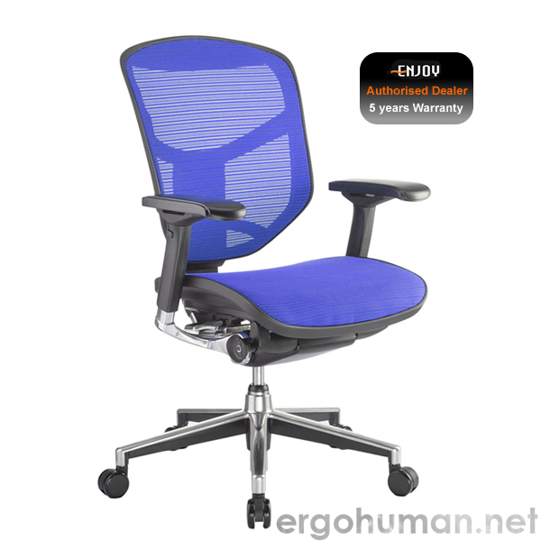 Enjoy Mesh Office Chairs G2 - Enjoy Elite Mesh Office Chairs G2 - The Latest